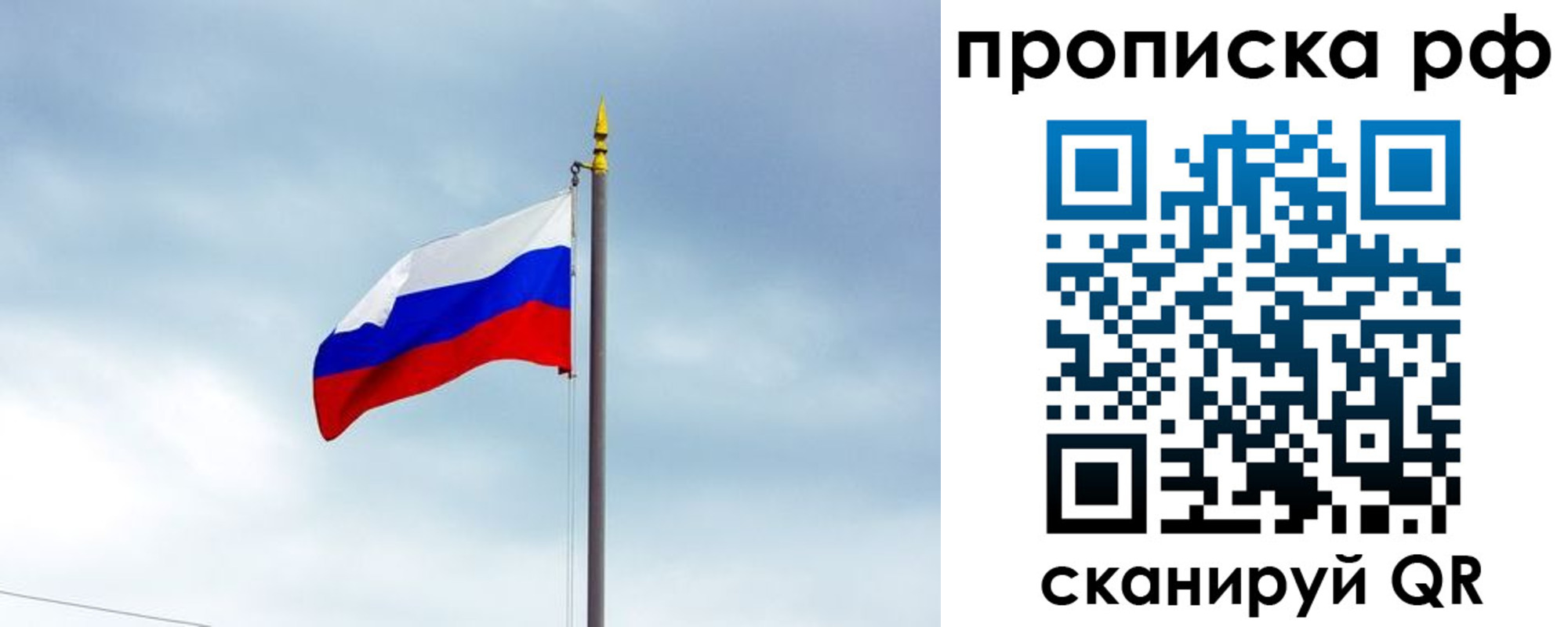 форма 3 в Дмитрове